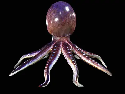 Awesome Squid 3D model