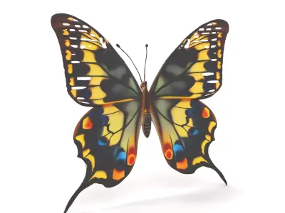 Vibrant Butterfly Wings model pack Low-poly 3D model