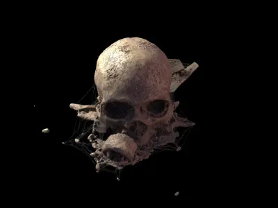 Broken Skull with Spider webs 6 3D model