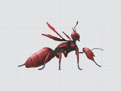 3D model red ant 3D print model Free 3D print model
