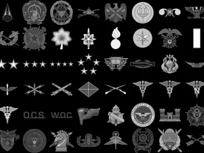  Military Rank and Badges Alpha-Brush Vol1 3D model