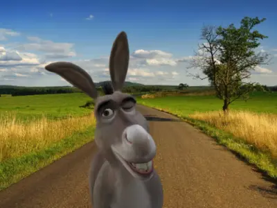 Donkey Low-poly 3D model