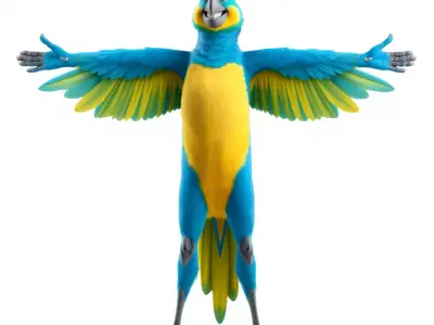 Cartoon Parrot Character Model Pack Low-poly 3D model
