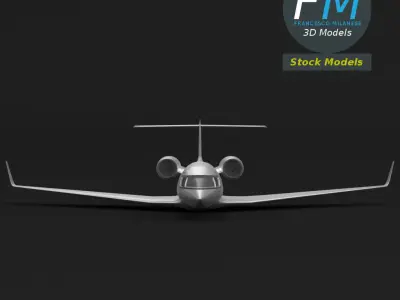 Business Jet 3D model by francescomilanese