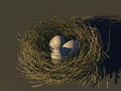 Bird Nest 3D model 4
