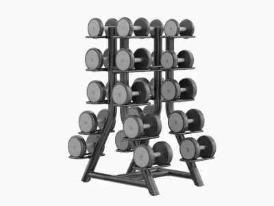 Technogym Vertical Dumbbells Rack 3D model
