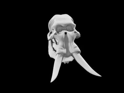 Elephant skull Low-poly 3D model
