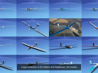 Large Collection of 60 Gliders and Sailplanes 3D Model Pack