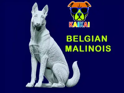 Malinois Sheepdog - Belgian Shepherd model - 3D print 3D print model