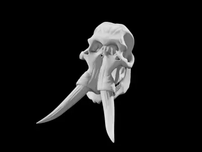 Elephant skull Low-poly 3D model