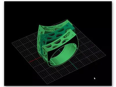 bypass gold ring 2 part 3D print model
