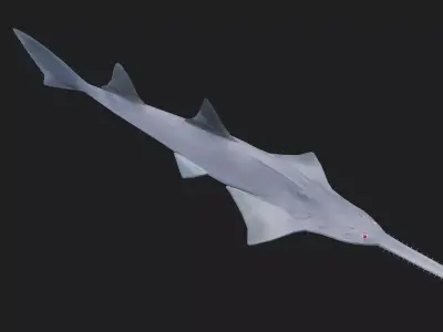 Ray fish Low-poly 3D model get