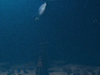 The Bottom of a Forgotten Shipwreck 3D model