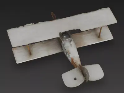 Realistic Wrecked Vintage Biplane 3D Model Low-poly 3D model
