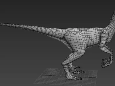 Velociraptor dinosaur 3D model 3