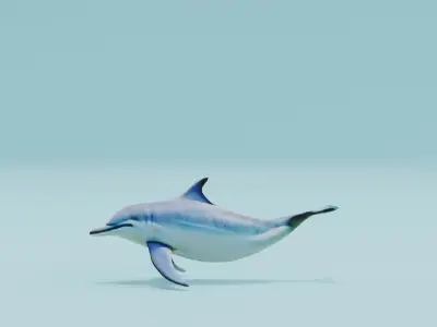 Dolphin white and smooth skin Low-poly 3D model
