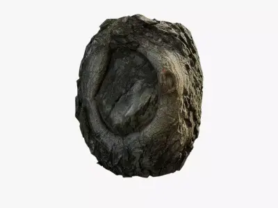 Anydrafts Salix matsudana Burl 12 Low-poly 3D model