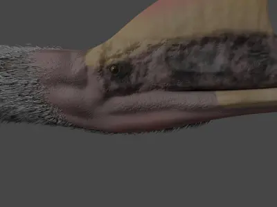 Quetzalcoatlus Low-poly 3D model