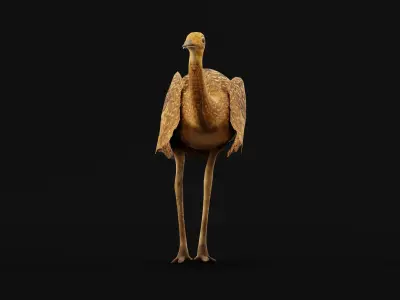 Bengal florican Bird Low-poly 3D model