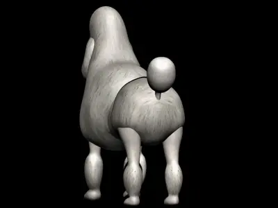 Poodle dog 3D model purchase