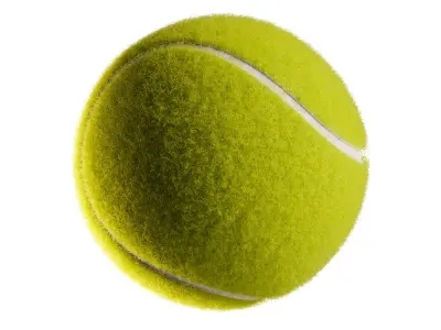 Tennis ball  purchase 3D model