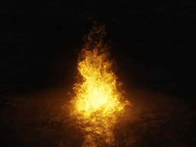 3D Bonefire fire 3D model