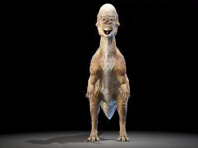 Pachycephalosaurus 3D model