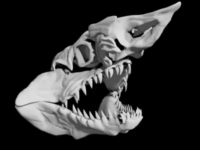 Shark Skull Low-poly 3D model