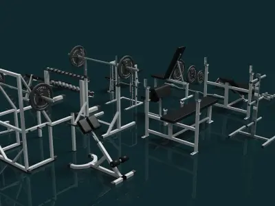 Gym Weight Collection 3D model