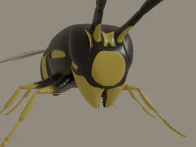 Wasp model 3D model