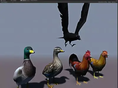 Birds Pack Low-poly 3D model