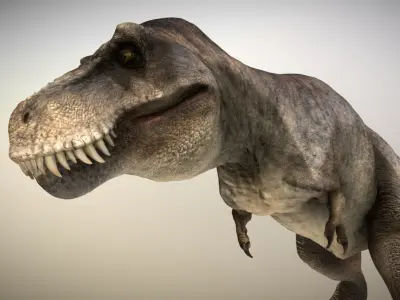 Tyrannosaurus rex Low-poly 3D model 20