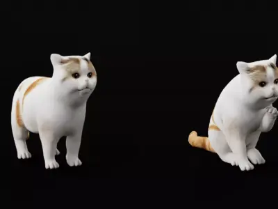 Exotic ShortHair Cat Free 3D model