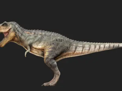 Tyrannosaurus Rex Low-poly 3D model 8