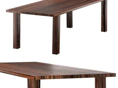 SPO African Walnut Table 3D model