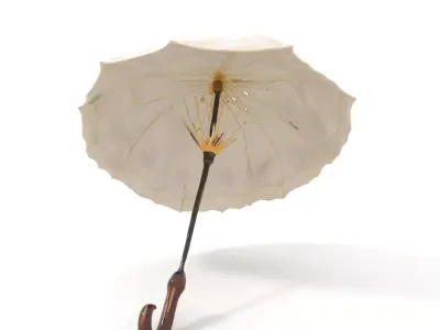 Elegant Lace Parasol Model Pack Low-poly 3D model