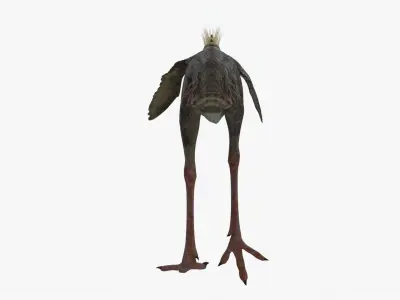 Realistic Phorusrhacos vulture with long beak Low-poly 3D model