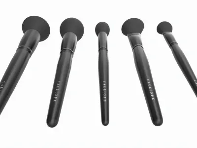 Face Brush Collection 5 Piece 3D model