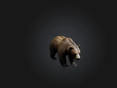 Realistic Bear Low-poly 3D model