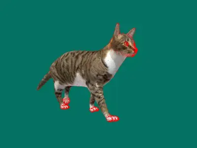 Grey Cat Free low-poly 3D model