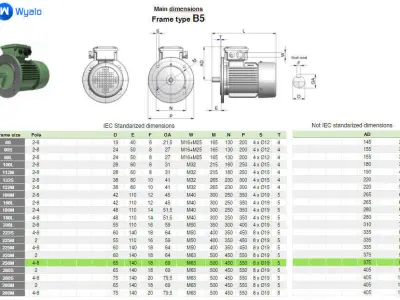 250M B5 4-8 Pole IEC electric motor - 3D CAD model 3D model