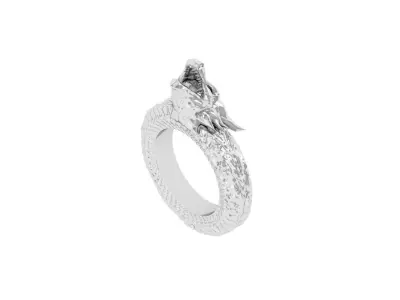 Dragon Ring 3D print model