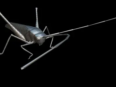 Grasshopper Animals  Low-poly 3D model