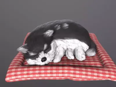jewelry accessory dog  Low-poly 3D model