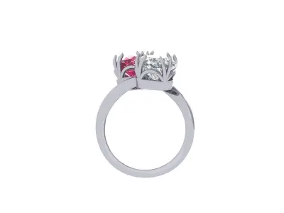 Solitair 2 Stone Ring 3D print model order