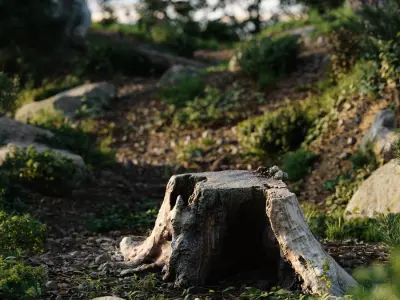  Short Cut Bare Decaying Stump Model 
