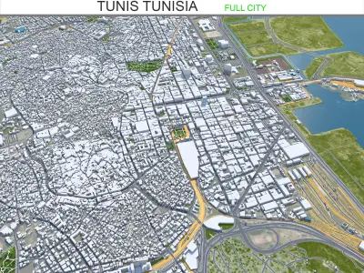 Tunis Tunisia 30km AI Low-poly 3D model