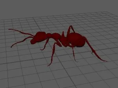 Ant 3D model fbx 3D model