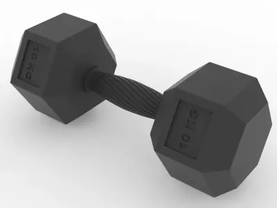 Hexagonal 10kg dumbbell with ergonomic knurled grip  3D model