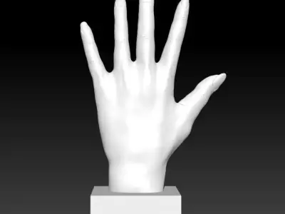 Woman hand 3D print model